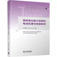 固体氧化物火焰燃料电池机理与性能研究 王雨晴 著 专业科技 文轩网