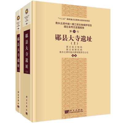 郧县大寺遗址(上下南水北调中线一期工程文物保护项目湖北省考古发掘报告第10号)(精) 湖北省文物局等 著 社科 文轩网