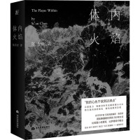 体内火焰 陈思安 著 文学 文轩网