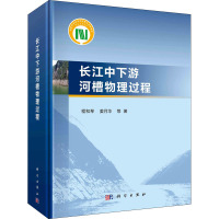 长江中下游河槽物理过程 程和琴 等 著 专业科技 文轩网