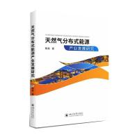 天然气分布式能源产业发展研究 杨竞 著 经管、励志 文轩网