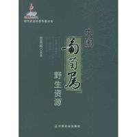 中国葡萄属野生资源 贺普超 著作 著 专业科技 文轩网