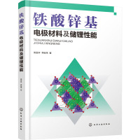 铁酸锌基电极材料及储锂性能 姚金环,李延伟 著 专业科技 文轩网