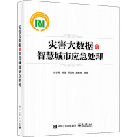 灾害大数据与智慧城市应急处理 徐小龙等 著 专业科技 文轩网