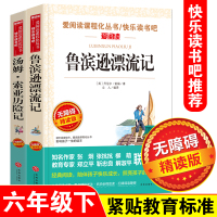 预售 快乐读书吧六年级下册必读2册《鲁滨逊漂流记》+《汤姆索亚历险记》