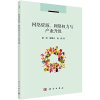 网络资源网络权力与产业升级 康凯//魏旭光//杨莉 著 经管、励志 文轩网