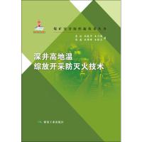 深井高地温综放开采防灭火技术 易欣 等 著 专业科技 文轩网