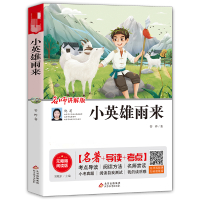 小英雄雨来(名师讲解版无障碍阅读版)/中小学语文拓展阅读丛书 管桦 著 文教 文轩网