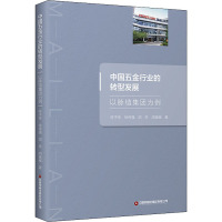 中国五金行业的转型发展 以脉链集团为例 陈子侠 等 著 经管、励志 文轩网