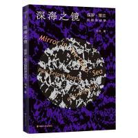 深海之镜:保罗·策兰的陌异诗学 冯冬 著 文学 文轩网