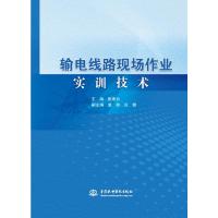 输电线路现场作业实训技术 主编 崔建业 副主编 虞驰 应健 著 专业科技 文轩网