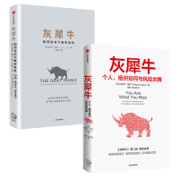 预售灰犀牛::如何应对大概率危机+个人、组织如何与风险共舞2册 