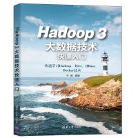 Hadoop 3大数据技术快速入门 牛搞 著 专业科技 文轩网