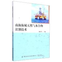 南海海域天然气水合物识别技术 鲍祥生 著 专业科技 文轩网