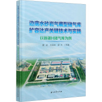 边底水砂岩气藏型储气库扩容达产关键技术与实践 以新疆H储气库为例 霍进 等 著 专业科技 文轩网