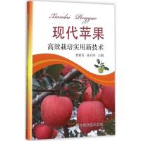 现代苹果高效栽培实用新技术 曹新芳,姜召涛 主编 著作 专业科技 文轩网