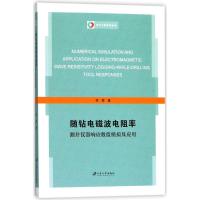 随钻电磁波电阻率测井仪器响应数值模拟及应用 李辉 著 专业科技 文轩网