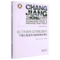 长江中游水文环境过程与下荆江故道及洞庭湖湿地演化 王学雷,杨超,姜刘志  著 经管、励志 文轩网