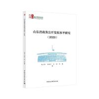 山东省政务公开发展水平研究(2020) 戚元华 著 社科 文轩网