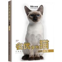 名优宠物猫品种图鉴 宠物图书编委会  著 生活 文轩网