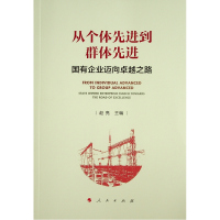 从个体先进到群体先进(国有企业迈向卓越之路) 赵亮 编著 著 社科 文轩网