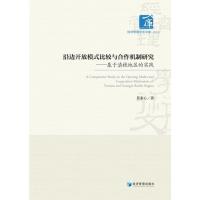 沿边开放模式比较与合作机制研究----基于滇桂地区的实践 黄素心 著 经管、励志 文轩网