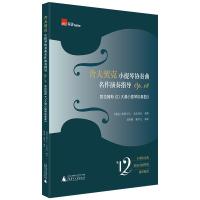 舍夫契克小提琴协奏曲名作演奏指导(Op.18)——勃拉姆斯《D大调小提琴协奏曲》 翁顺砚、陈学元 著 艺术 文轩网