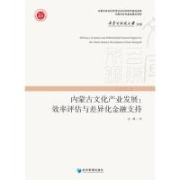 内蒙古文化产业发展：效率评估与差异化金融支持 边璐 著 经管、励志 文轩网