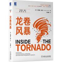 龙卷风暴 [美]杰弗里·摩尔(Geoffrey A. Moore) 著 汪幼枫  译 译 经管、励志 文轩网