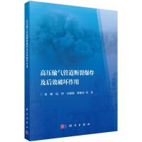 高压输气管道断裂爆炸及后效破坏作用 龙源等 著 专业科技 文轩网