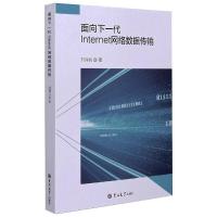 面向下一代Internet网络数据传输 刘拥民 著 专业科技 文轩网