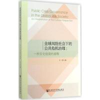 全球风险社会下的公共危机治理 王丽 著 著作 经管、励志 文轩网