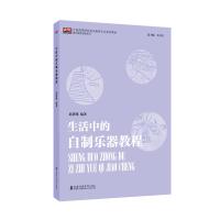 生活中的自制乐器教程 赵洪啸编著 著 艺术 文轩网