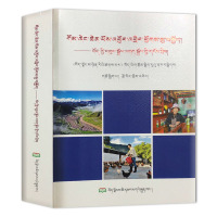 跨步奔小康——新西藏脱贫攻坚纪实 西藏日报社藏编部 著 经管、励志 文轩网