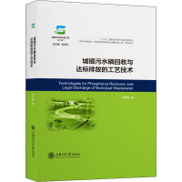 城镇污水磷回收与达标排放的工艺技术 李咏梅 著 生活 文轩网