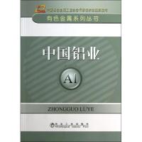 中国铝业 中国有色金属工业协会 编 著 专业科技 文轩网