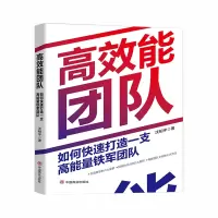 高效能团队:如何快速打造一支高能量铁军团队 沈柏宇 著 经管、励志 文轩网