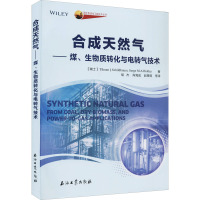 合成天然气——煤、生物质转化与电转气技术 