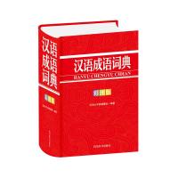 汉语成语词典(彩图版) 汉语大字典编纂处 著 文教 文轩网