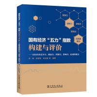 国有经济“五力”指数构建与评价——国有经济竞争力、创新力、控制力、影响力、抗风险能力 张园,吴鸾莺,李浩澜 著 生活 