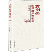 袁彩云眼科临床经验集 张健 编 生活 文轩网