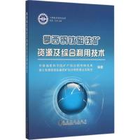 攀西钒钛磁铁矿资源及综合利用技术 中国地质科学院矿产综合利用研究所,国土资源部钒钛磁铁矿综合利用重点实验室 编著 著 