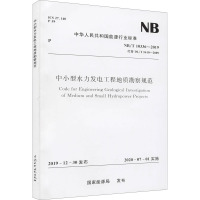 中小型水力发电工程地质勘察规范 NB/T 10336-2019 代替 DL/T 5410-2009 国家能源局 