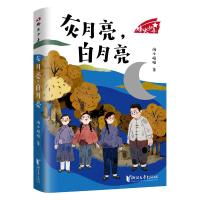 灰月亮,白月亮(“烽火少年”系列)/海小枪枪 海小枪枪 著 少儿 文轩网