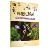 野花的邂逅/惠民小书屋 郭宪 著作 文学 文轩网