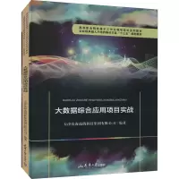 大数据综合应用项目实战 天津滨海迅腾科技集团有限公司 编 经管、励志 文轩网