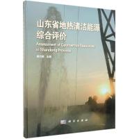 山东省地热清洁能源综合评价 康凤新 著 专业科技 文轩网