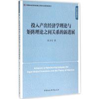 投入产出经济学理论与矩阵理论之间关系的新进展 曾力生 著 著作 经管、励志 文轩网