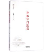 孙振华自选集/中国当代艺术批评文库 孙振华 著 艺术 文轩网