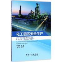 化工园区安全生产应急管理实务 陈国华 主编 著 专业科技 文轩网